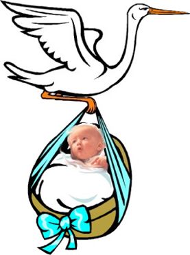 Storch trägt Baby