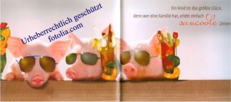 Schweinchen mit Sonnenbrillen