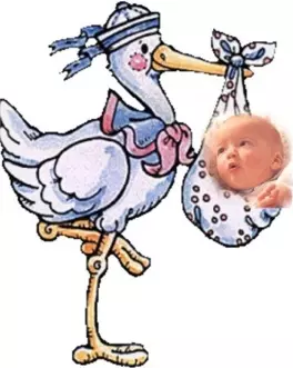 Storch Baby personalisiert